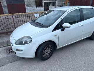FIAT Punto usata, con Controllo trazione