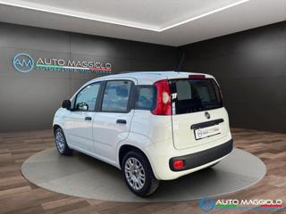 FIAT Panda usata, con Chiusura centralizzata