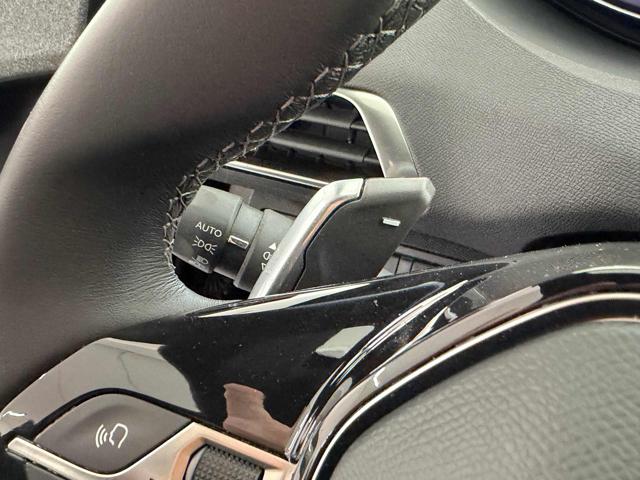 PEUGEOT 3008 usata 25