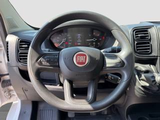 FIAT Ducato usata 9