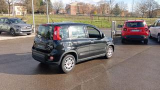 FIAT Panda usata, con Airbag testa