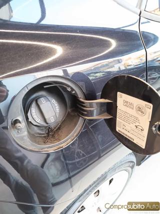 VOLKSWAGEN Polo usata 15