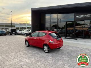 LANCIA Ypsilon usata, con Cronologia tagliandi