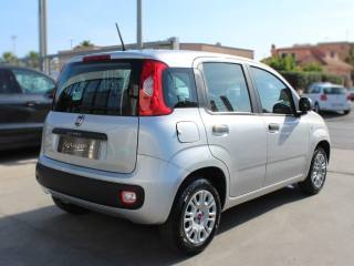 FIAT Panda usata, con Airbag Passeggero