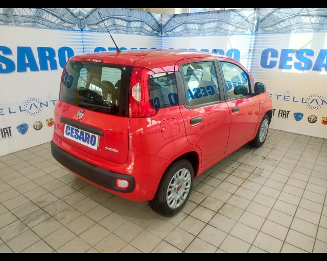 FIAT New Panda usata, con Alzacristalli elettrici