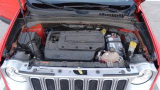 JEEP Renegade usata, con Cruise Control