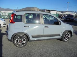 FIAT Panda usata 17