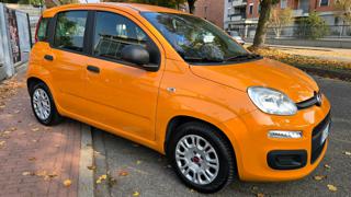 FIAT Panda usata, con ESP