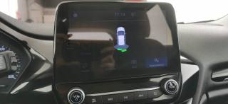 FORD Fiesta usata 66