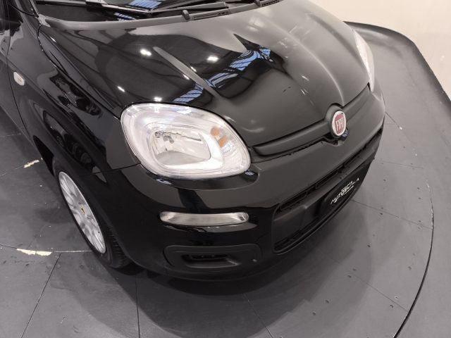 FIAT Pandina usata 19