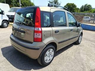 FIAT Panda usata 6