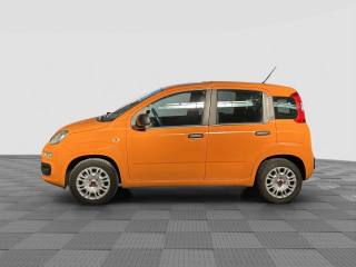 FIAT Panda usata 1