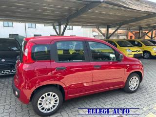 FIAT Panda usata, con Climatizzatore