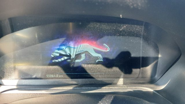 FORD Puma usata, con Controllo trazione