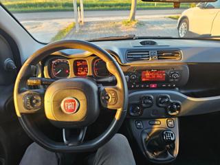 FIAT Panda usata, con Volante multifunzione