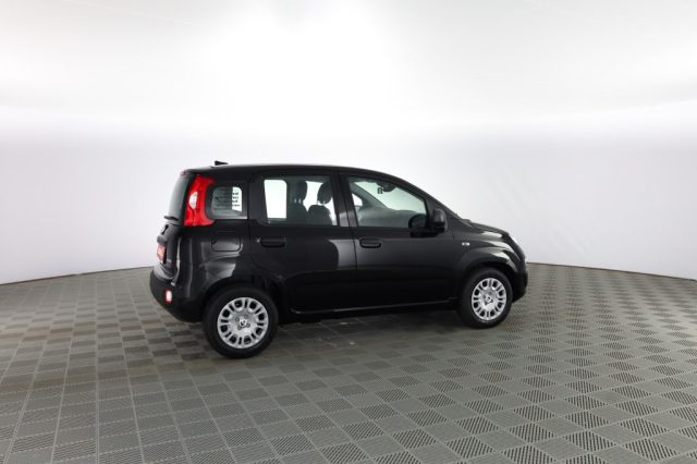 FIAT Panda usata 2
