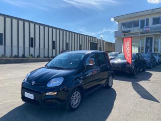 FIAT Panda *PROMO* 1.0 FireFly S&S Hybrid