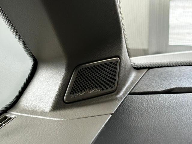 VOLKSWAGEN Multivan usata 51