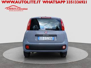 FIAT Panda usata, con Climatizzatore