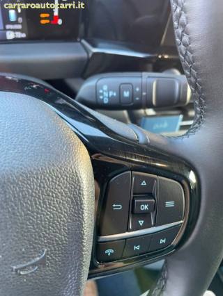FORD Tourneo Custom usata, con Fendinebbia