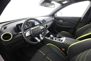 FORTHING Friday HEV usata 7