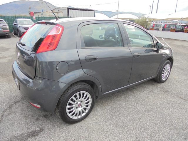 FIAT Punto usata 12