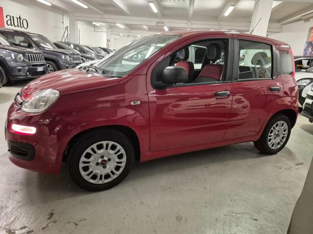 FIAT Panda usata, con Alzacristalli elettrici