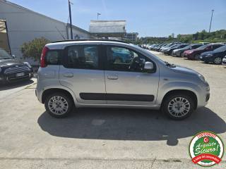 FIAT Panda usata 5