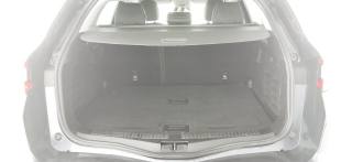 RENAULT Megane usata, con Vivavoce