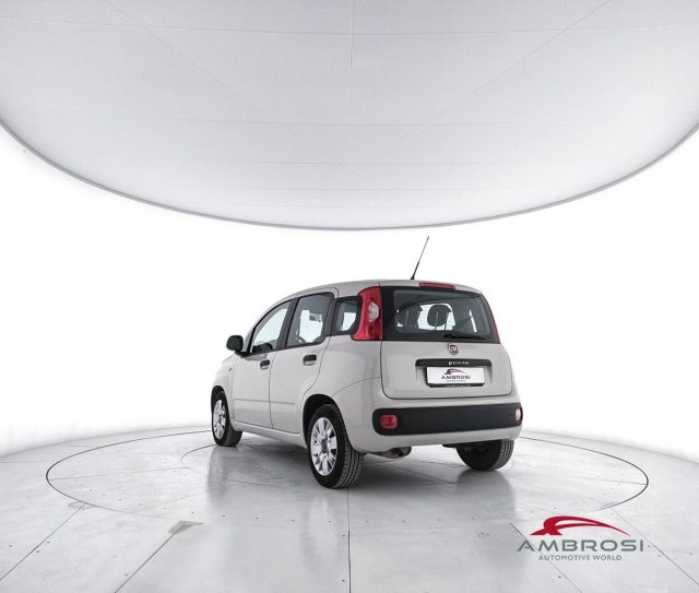 FIAT Panda usata 3