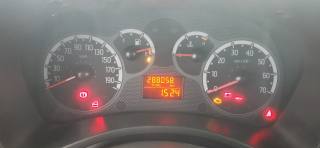 FIAT Panda usata 8