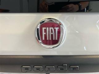 FIAT Panda usata 16