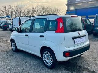 FIAT Panda usata, con Airbag Passeggero