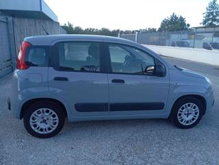 FIAT Panda usata, con Airbag Passeggero