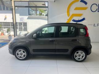 FIAT Panda usata, con Servosterzo