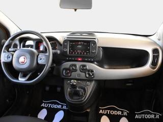 FIAT Panda usata 25