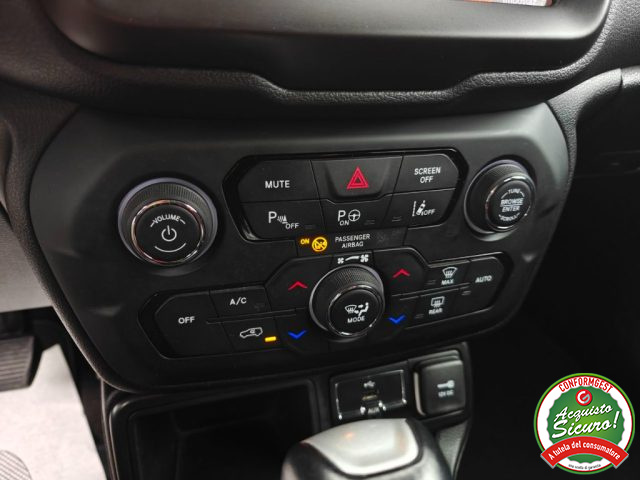 JEEP Renegade usata, con Fendinebbia