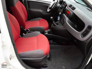 FIAT Panda usata 27