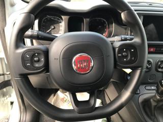 FIAT Panda Cross usata, con Servosterzo