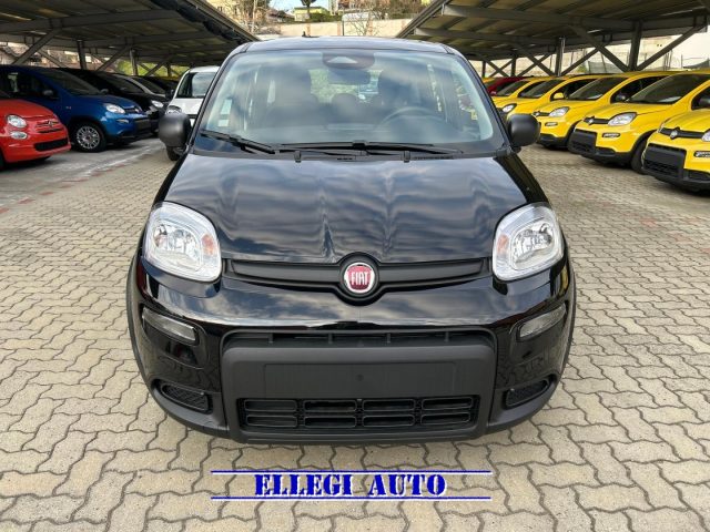 FIAT Panda usata, con Airbag Passeggero