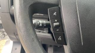 OPEL Movano usata 29