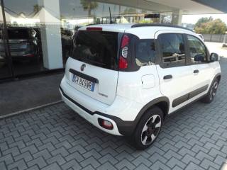 FIAT Panda Cross usata, con Climatizzatore