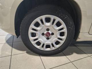 FIAT Panda usata 14