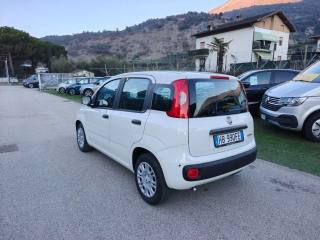 FIAT Panda usata, con Airbag Passeggero