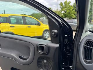 FIAT Panda Cross usata, con Controllo automatico clima
