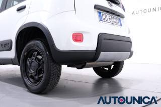 FIAT Panda usata 36