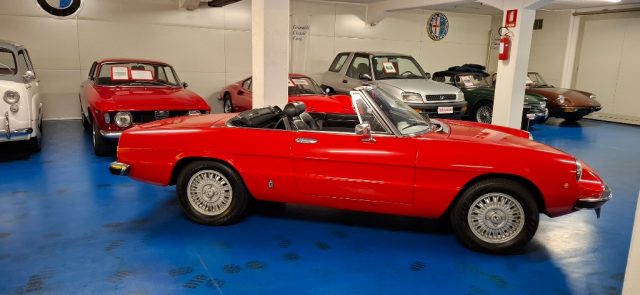 ALFA ROMEO Spider usata 2