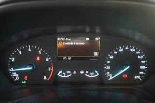 FORD Fiesta usata 6