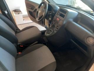 FIAT Panda usata, con Servosterzo