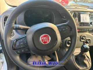FIAT Panda usata, con Controllo trazione